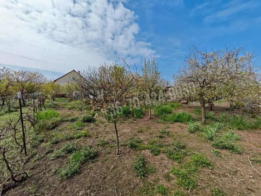 Fejér megye - Pusztaszabolcs